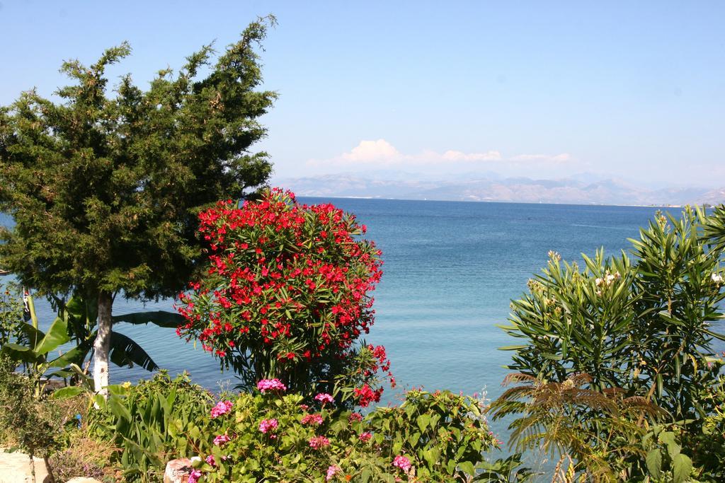 Πενσιόν Έλενα Ξενοδοχείο Άγιος Νικόλαος Εξωτερικό φωτογραφία
